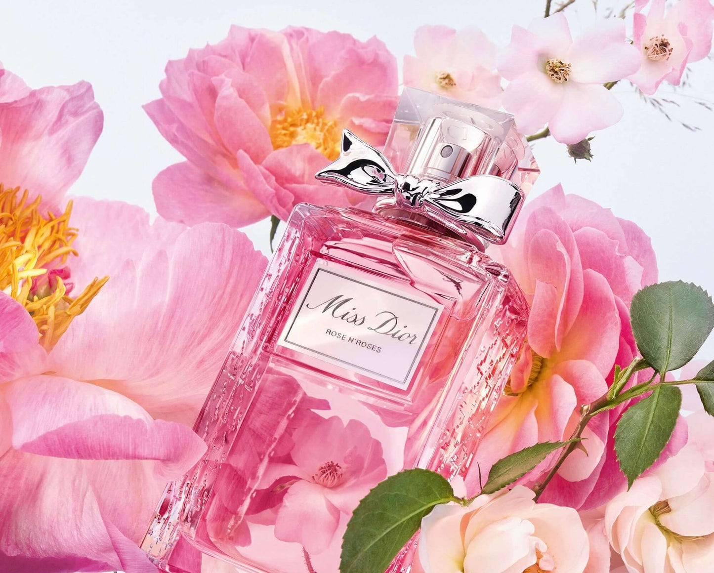 MISS DIOR ROSE N’ROSES EAU DE TOILETTE