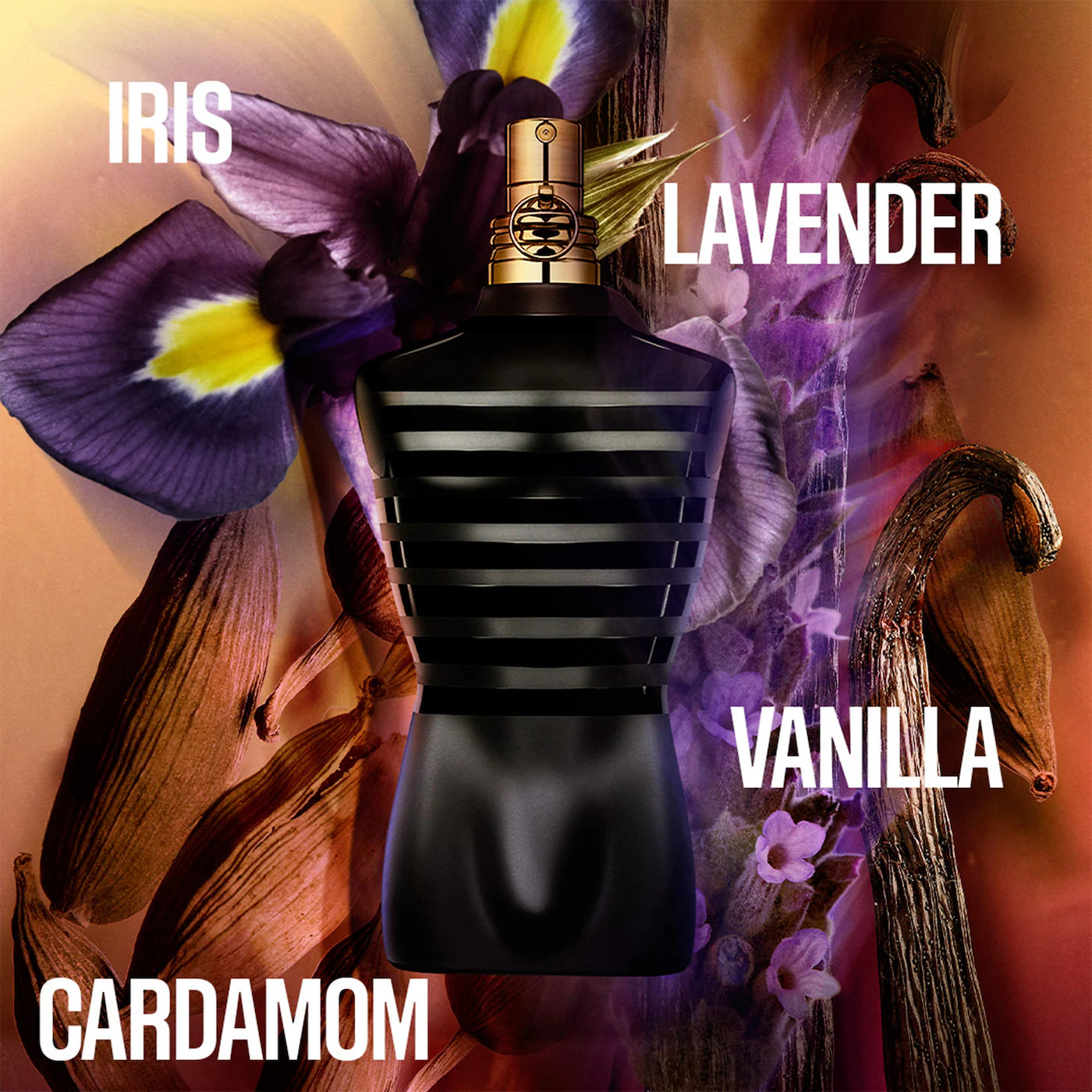 JEAN PAUL GAULTIER LE MALE LE PARFUM WITH LAVENDER & IRIS